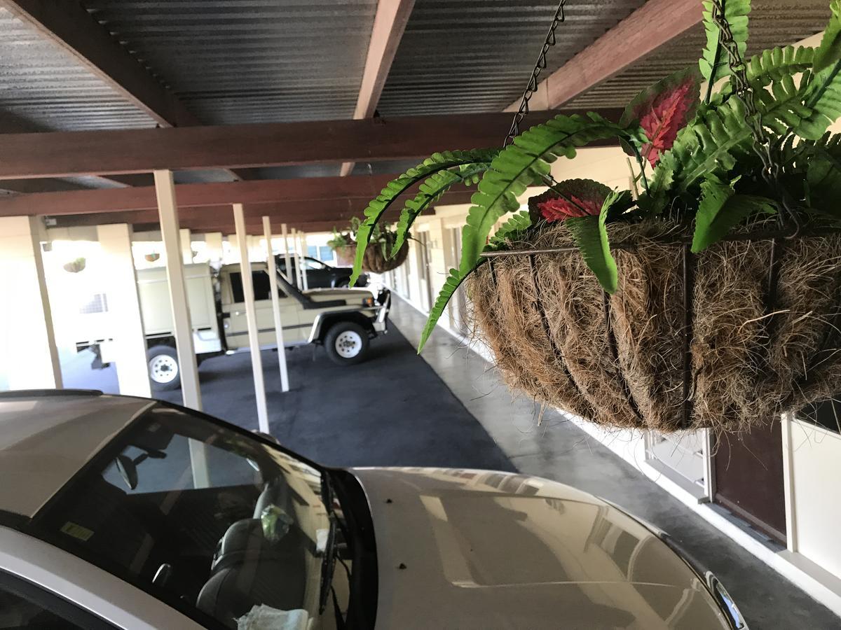Cairns Motor Inn Dış mekan fotoğraf