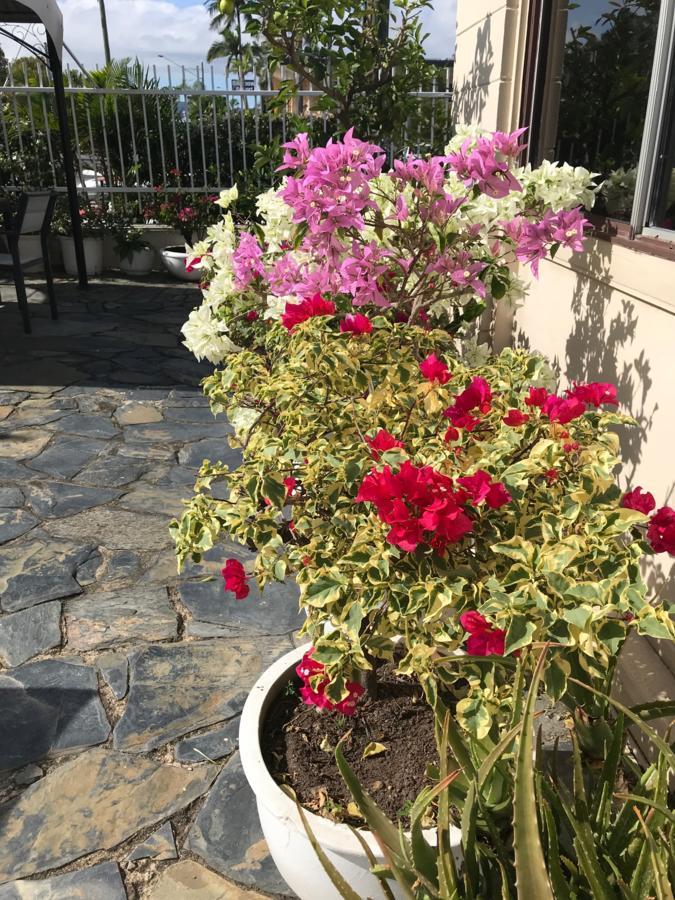 Cairns Motor Inn Dış mekan fotoğraf